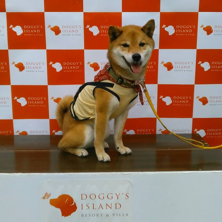 85e65476 ce14 4bf5 bc5c 7491165a0c0e 1526724910814