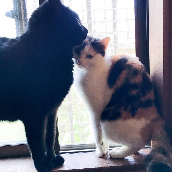 85e678a7 2c96 40cb 94a5 8a33c731e127 1525184422141