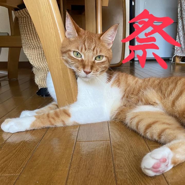 85e68dc0 709e 4cee 916c b7c605da1d18 1661574415692