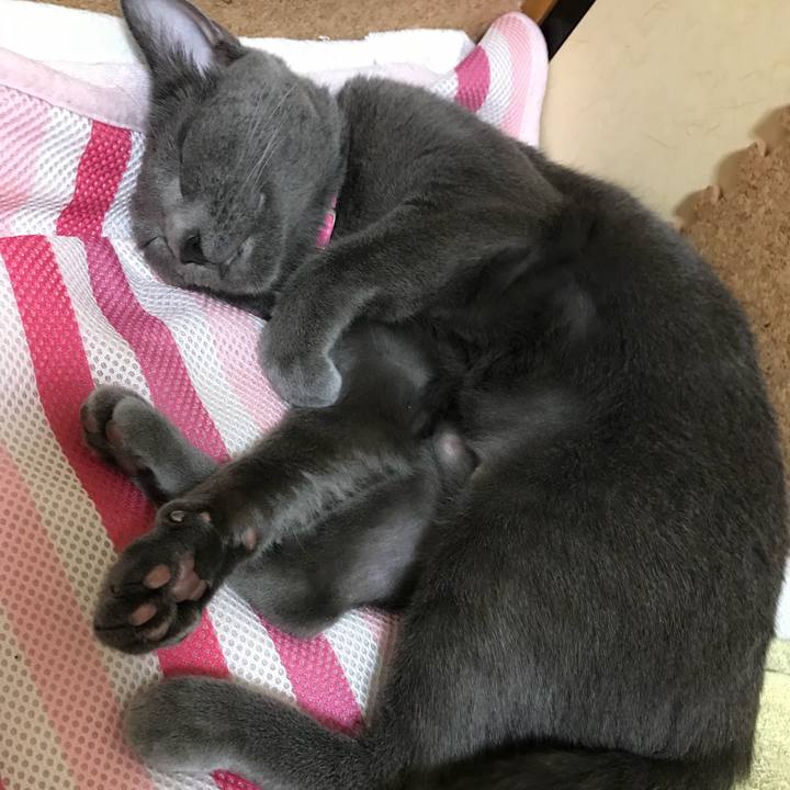 85e69481 8df9 4d94 94ee a0780fab392c 1529756893348