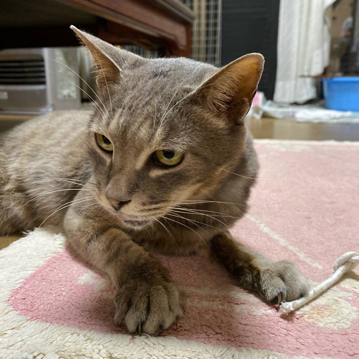 85e6b045 025d 4c9b 99f4 dc8f5b9f1308 1630330907756