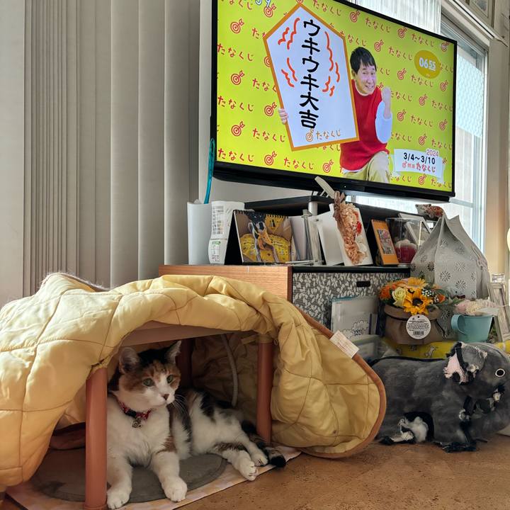 85e6c3b4 2f84 43b9 ad62 3cf77c57e955 1709523765217