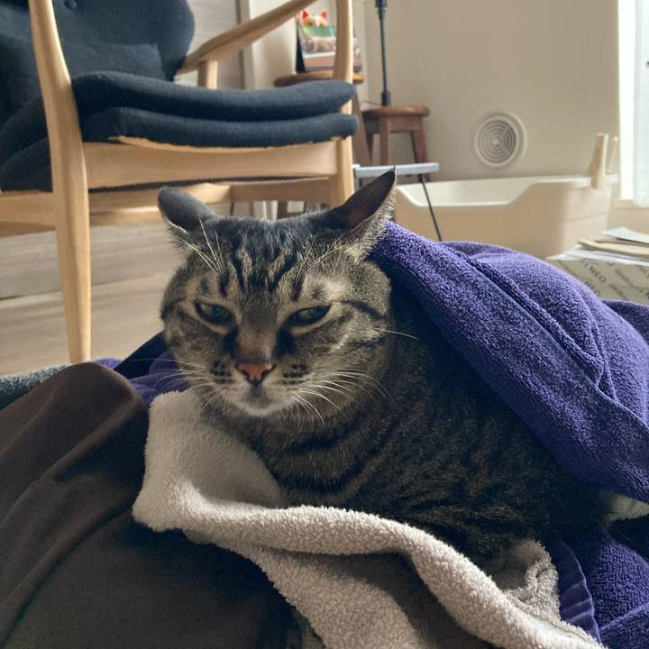 85e6cd35 83a1 499a b13a 0eb93baa2f4d 1690083397157