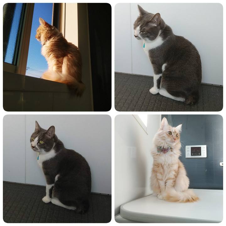 85e6d1de 1867 444d beef c5faf7c8cd4d 1644659194153