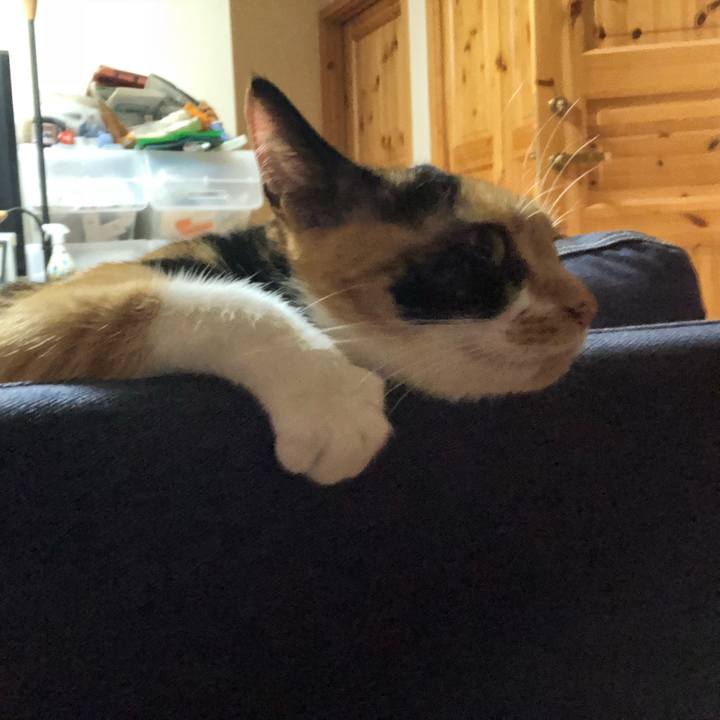 85e7121c f99a 4c87 845f 00a0bac4e3d4 1536592775988