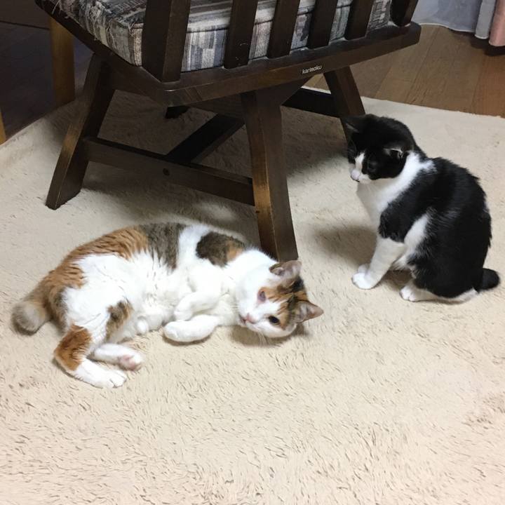 85e77fe9 9af4 40f6 b210 78ba4c8ecc71 1580454081133