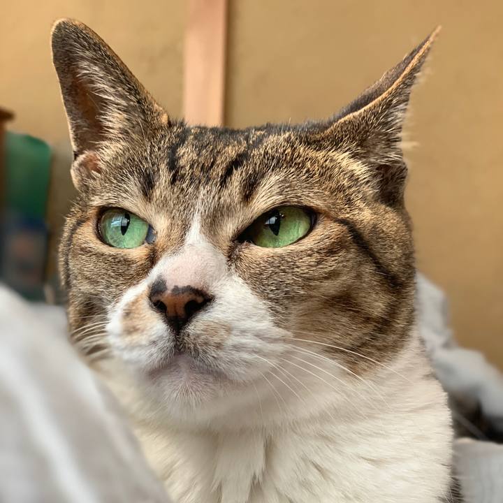 85e7903a ba53 4067 a709 57bc6c530260 1590196548827