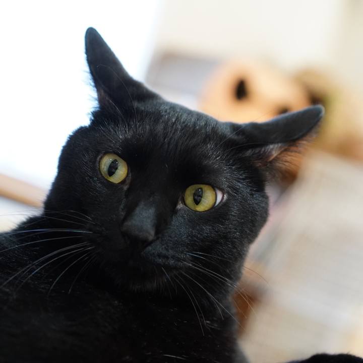 85e7940c 7bba 4416 adc4 4eaa205486b2 1570589595390