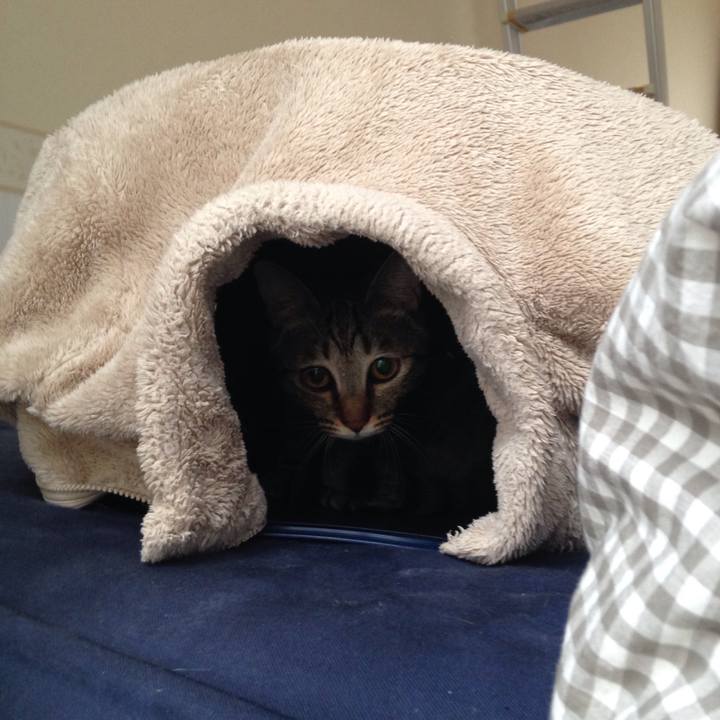 85e7e6e2 f9e1 42af 9c3f 2f427c7389f3 1509438979960