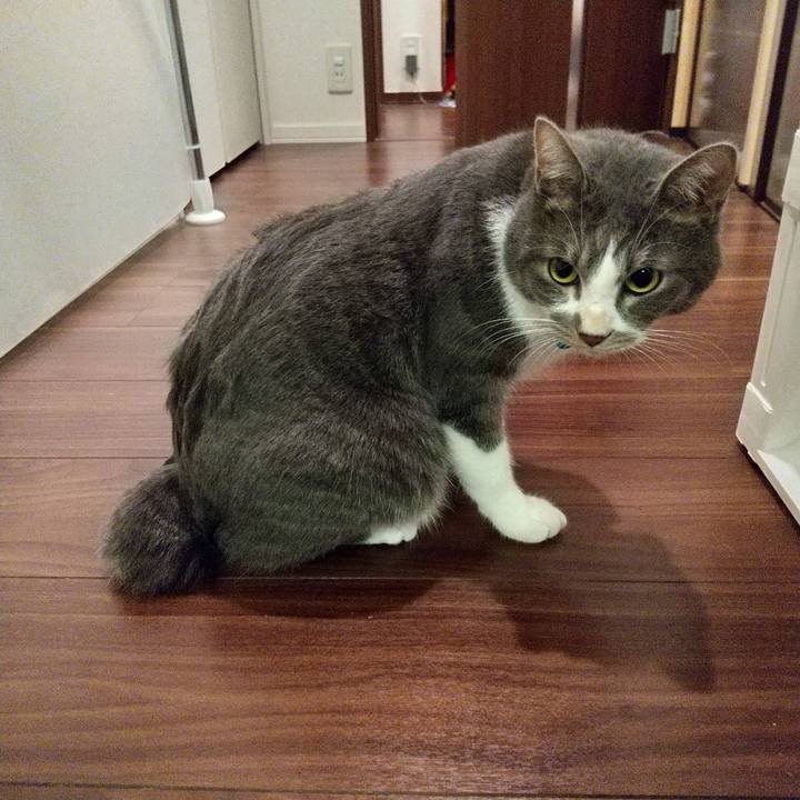 85e7f9d9 41cc 47d1 9df4 960f26c45ebe 1607343717797