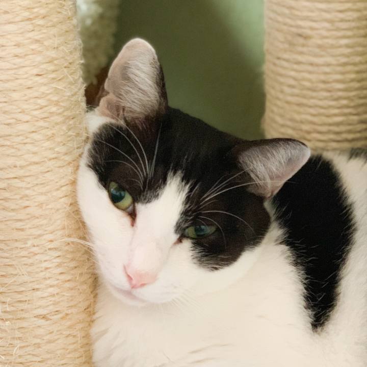 85e7fe38 0879 4956 a609 3a08e3e2a35c 1570845732787