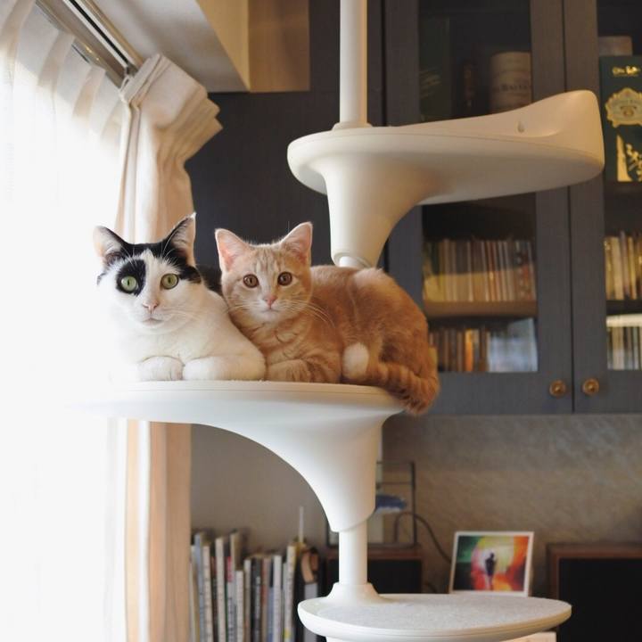 85e8193e 8265 4a59 ad92 be90a301058c 1548327117664