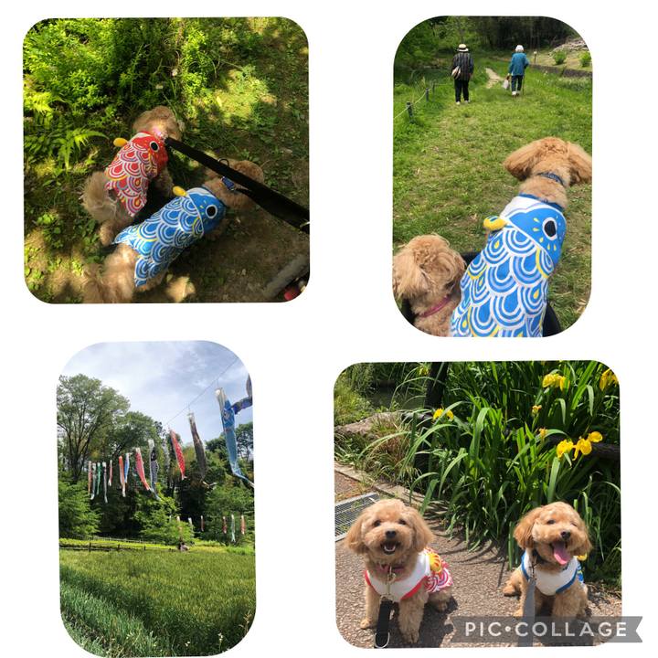 85e841e0 a405 4224 bcd0 b734a9bfb5b5 1683121319025