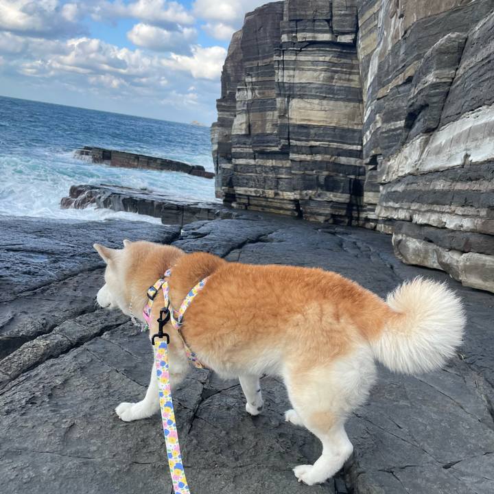 85e8668b 70eb 4577 98d6 89600d66384f 1672320111805