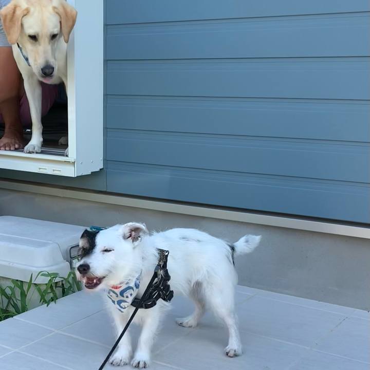 85e86afa c371 4af2 8e54 9479cd85692e 1721689268288