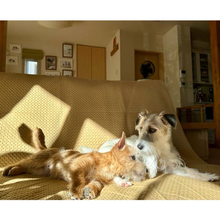 85e86c96 355b 4fd9 a2a8 58bc7906946a 1706267497068