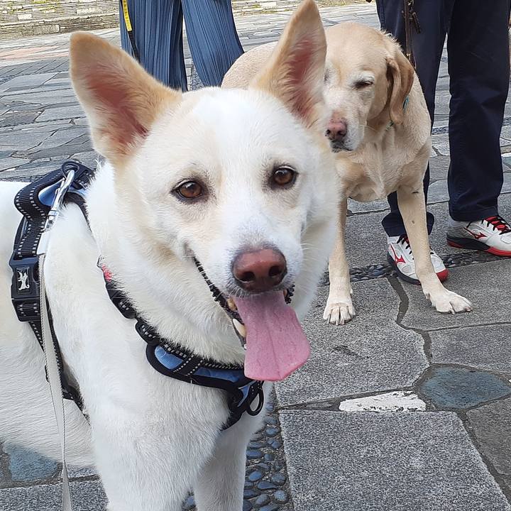 85e871b6 5afa 4afc b5bb b6a2b153aecc 1663381975327