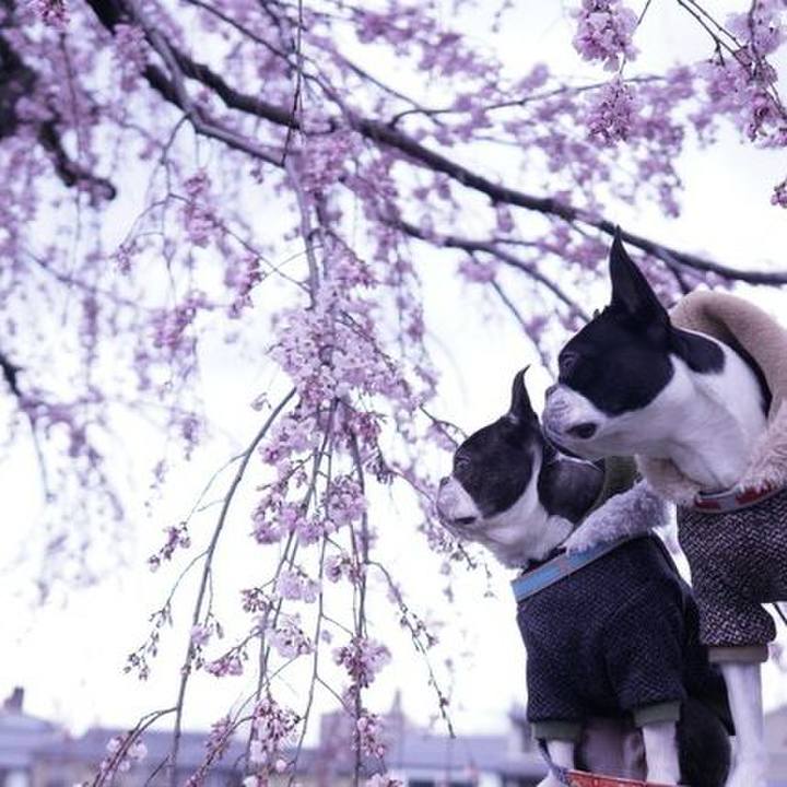 85e8863c 170b 47d3 a9ed 2a45035156ab 1553325085625