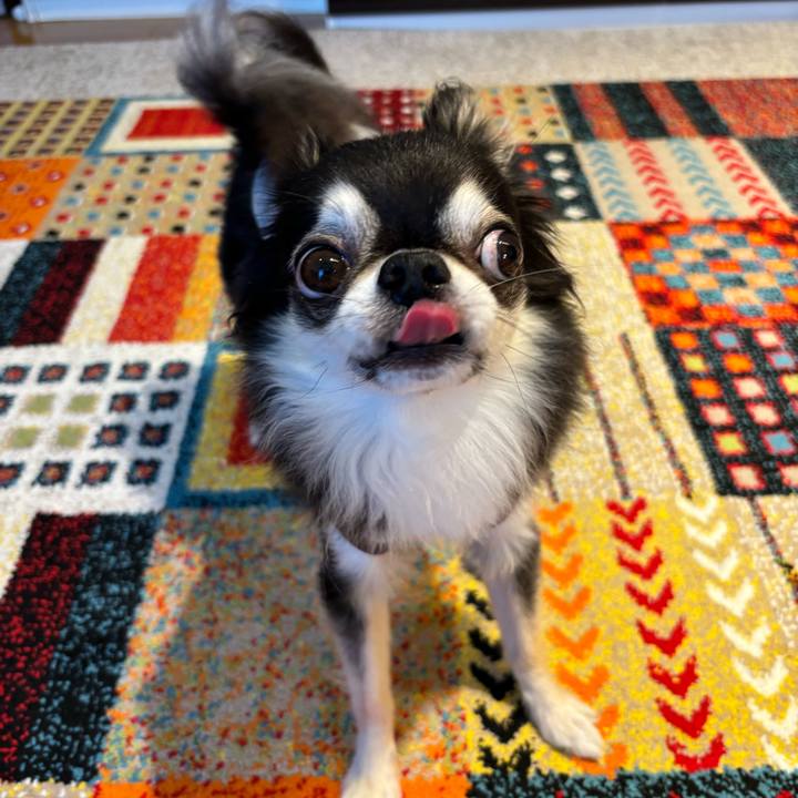 85e8878a fa2e 4bb9 8b3a f2a42ac957dd 1728923380461