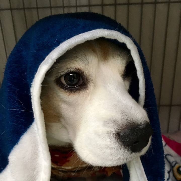 85e8dbc1 4138 4723 8bc2 ab007c22d205 1544759357206