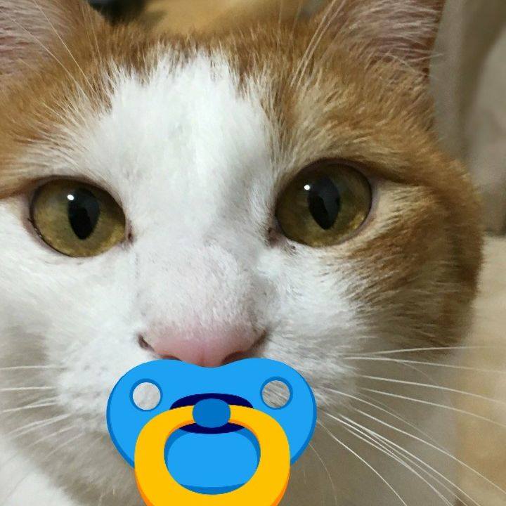 85e8ff25 fa74 4ea1 9cda 4495b4b71e7d 1527815012719