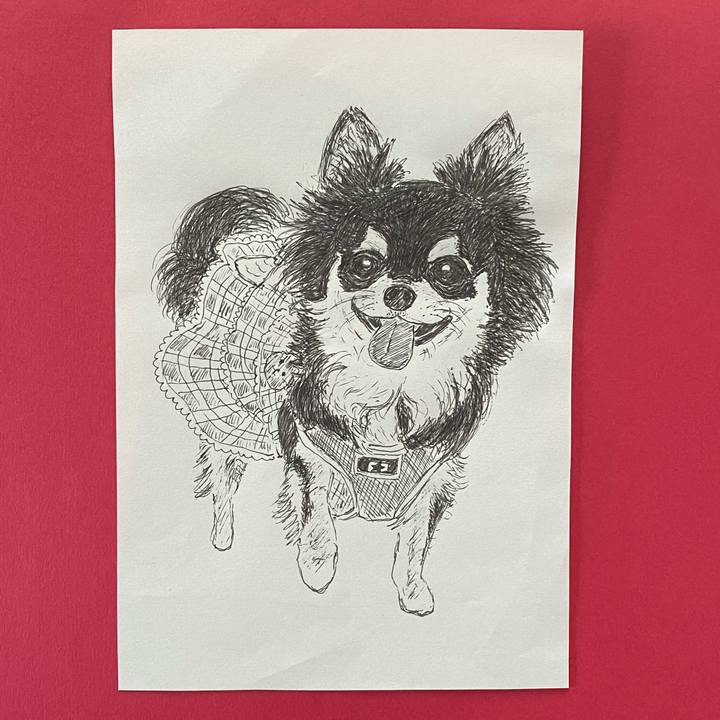 85e90980 e9f8 4336 a0d0 1979f31eeba3 1623126807066