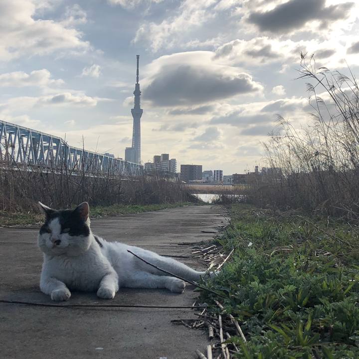 85e91773 15ab 46ec b5e3 d7d82fb65ee2 1584000957698