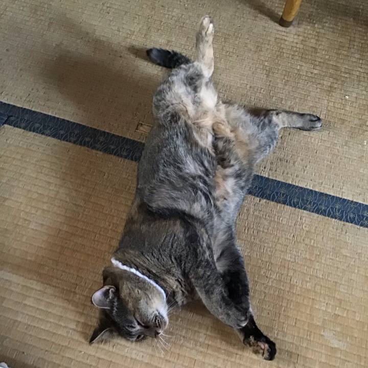 85e970c8 941f 4dce 96f1 220f12a2dbd4 1755515964623