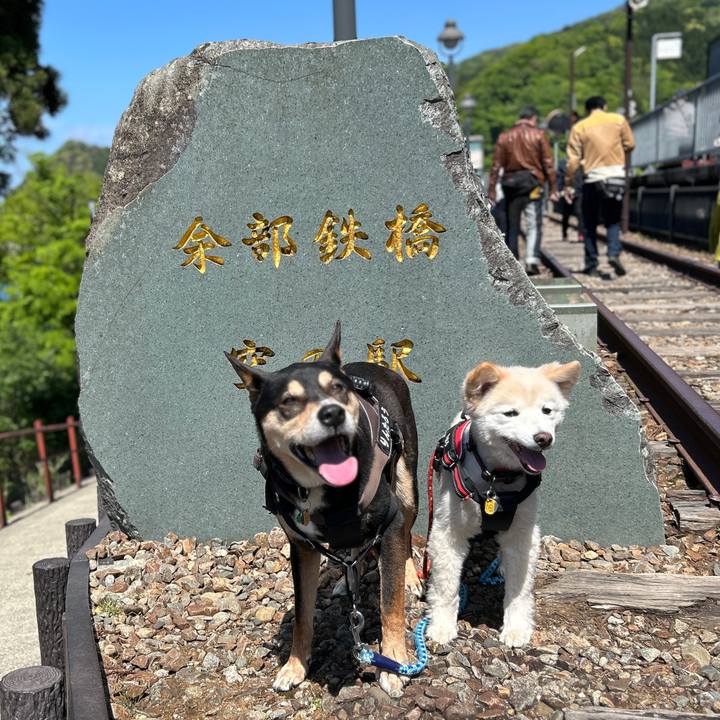 85e981c0 f280 4b49 8d6b 1b6d7e10531c 1746530373786