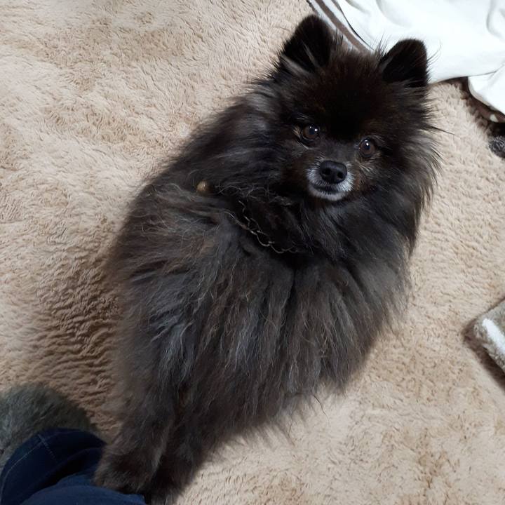 85e9d378 c558 4dd1 84e8 5b40ff0507c5 1519932895483