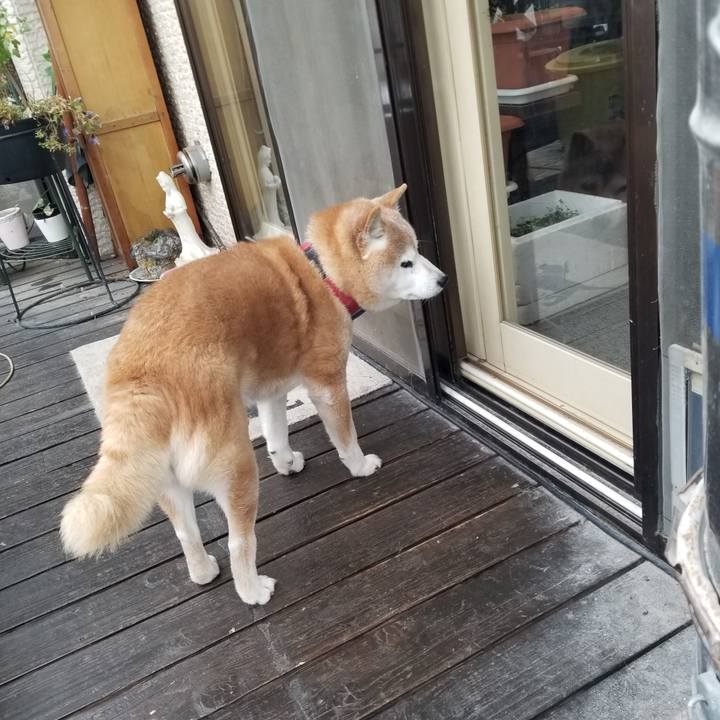 85e9dae7 6920 4123 9450 ceeb0fc4f111 1742085963668