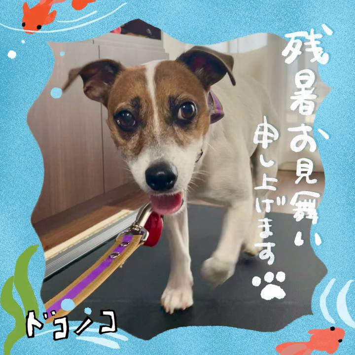 85e9de74 fc60 4bb3 b693 b0ac9e1d6bb1 1723706573072