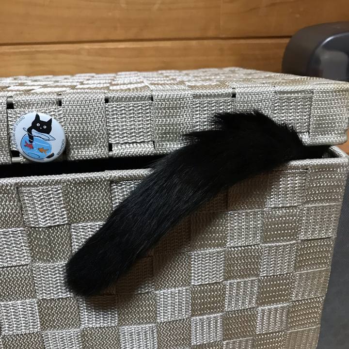 85e9fd17 34b9 4a6f 923e 57f80feaca5e 1551795241580