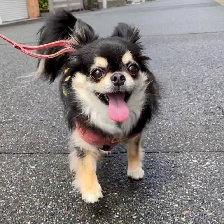 85ea1221 6283 48f9 b9b0 3661e2db2b5f 1658021155402