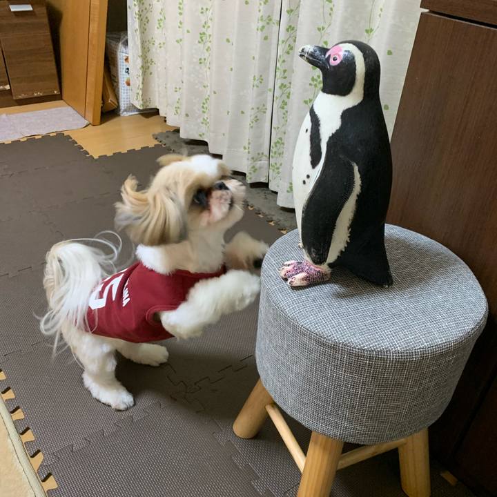 85ea65e2 a9e7 4502 af92 7fa0730f6996 1606302712476