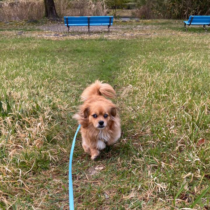 85ea6f2c f6c0 4039 8c56 80e238565099 1649797906267