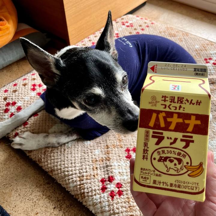 85ea903c e8f7 4980 8d51 13926e017b92 1652489953756