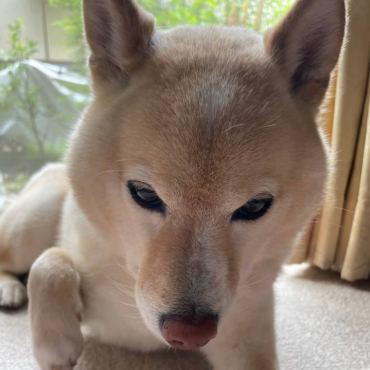 85eaab52 0ee8 4424 9ee7 1feb4a0d6bc0 1749857113347