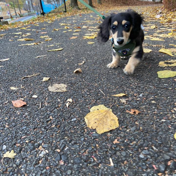 85eb0646 7757 4aab 9d8e 7434f1b86e87 1668898275480