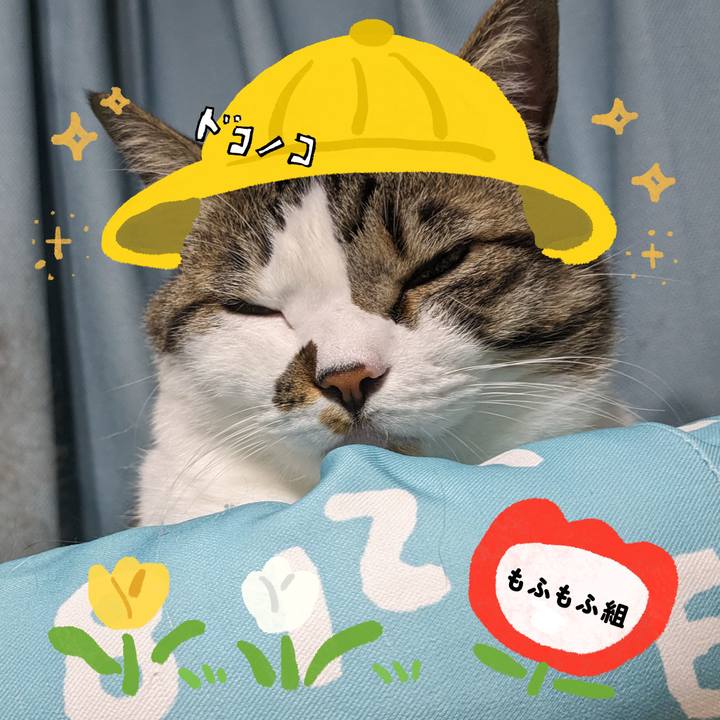 85eb0874 a724 4f07 987c f4a0ae449813 1712200190912