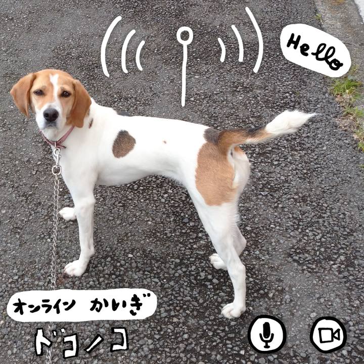 85eb34f6 552a 43f9 96fd f555417addb0 1594020326679