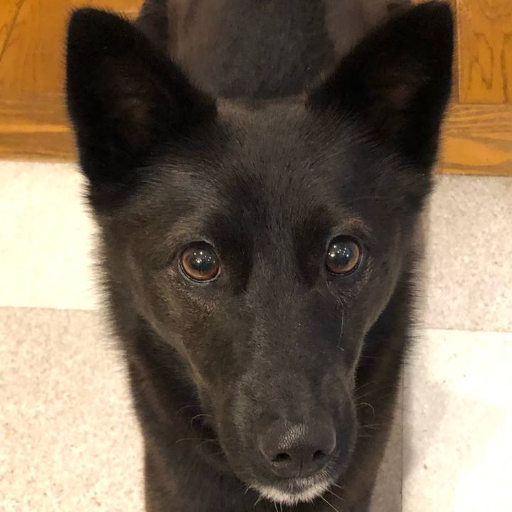 85eb3a64 617b 4921 a30b 91c91f41a69f 1550136612201