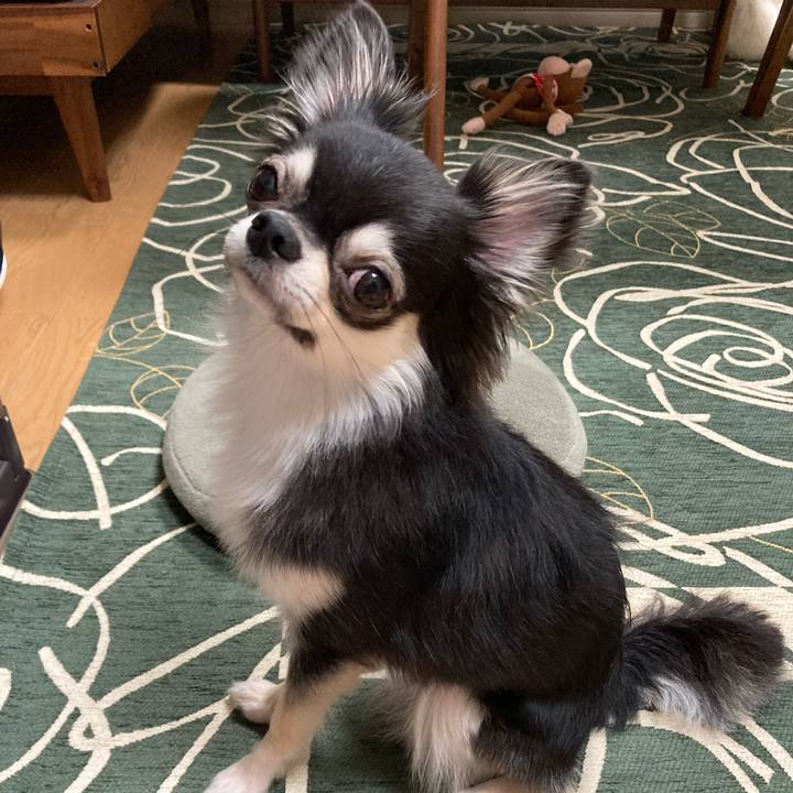 85eb5f50 ab8e 4347 b045 b89358d51d05 1632664341954