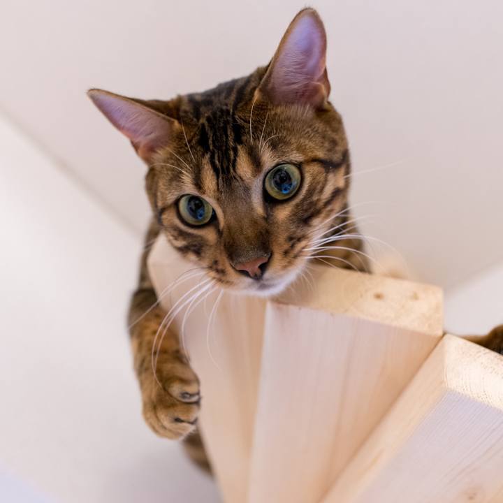 85ebbd4b 1357 4eb4 bbc3 c7a6f459506a 1519922162093