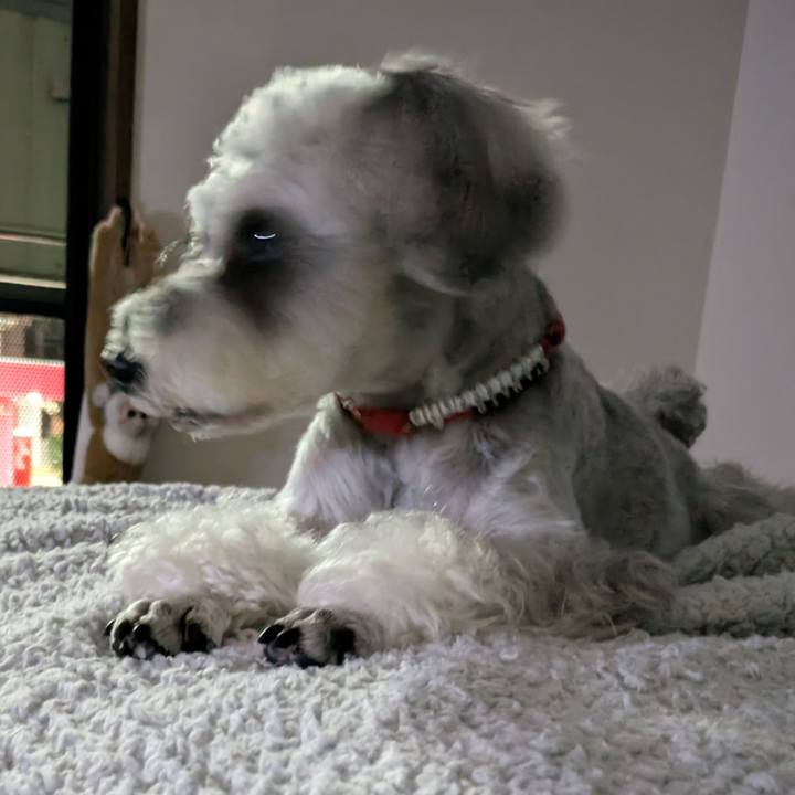 85ebc68e a39c 4b19 ac3c 8f1ce8f775c8 1759923039222