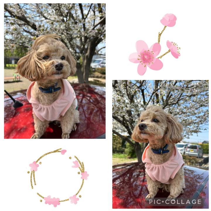 85ebd124 28bd 41fb aa0d e67cd457bb27 1743827774188