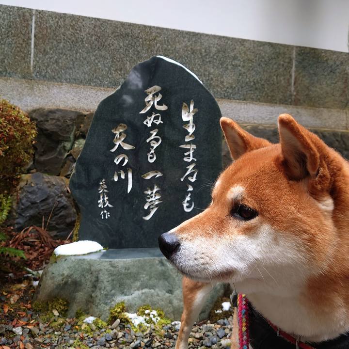 85ebdbb4 80a2 4e2a bca0 807f54ae6f2b 1767079624757