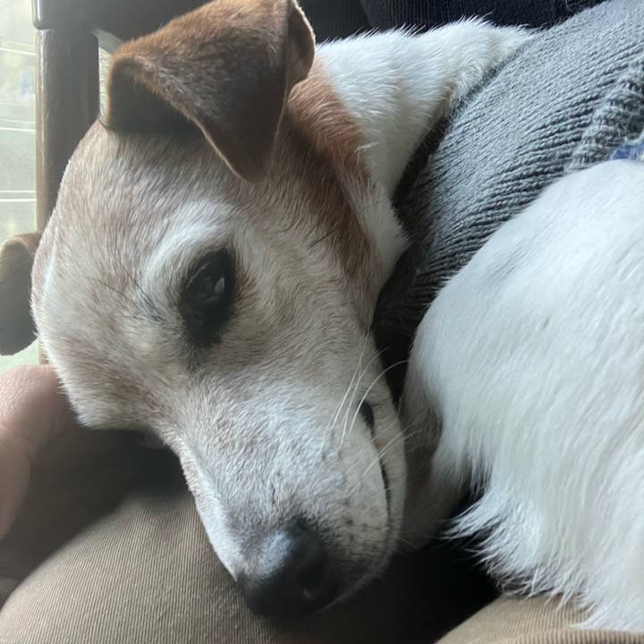 85ebe65b de78 406b b41c 4d6e8f6ec0c1 1762906189878