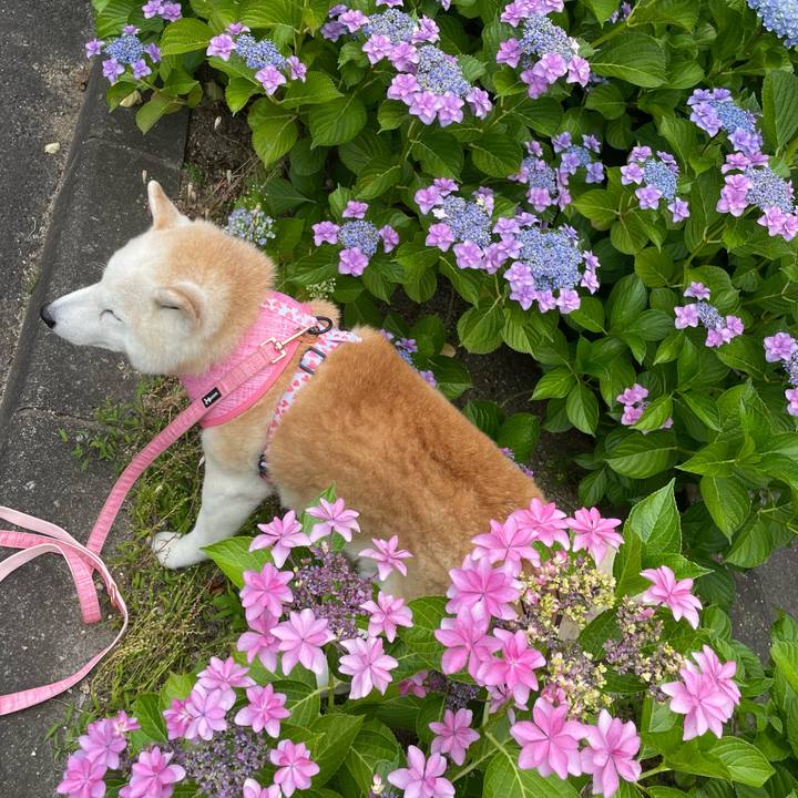 85ec29b6 bce3 4b34 bd70 be06e0dd26aa 1655075524209