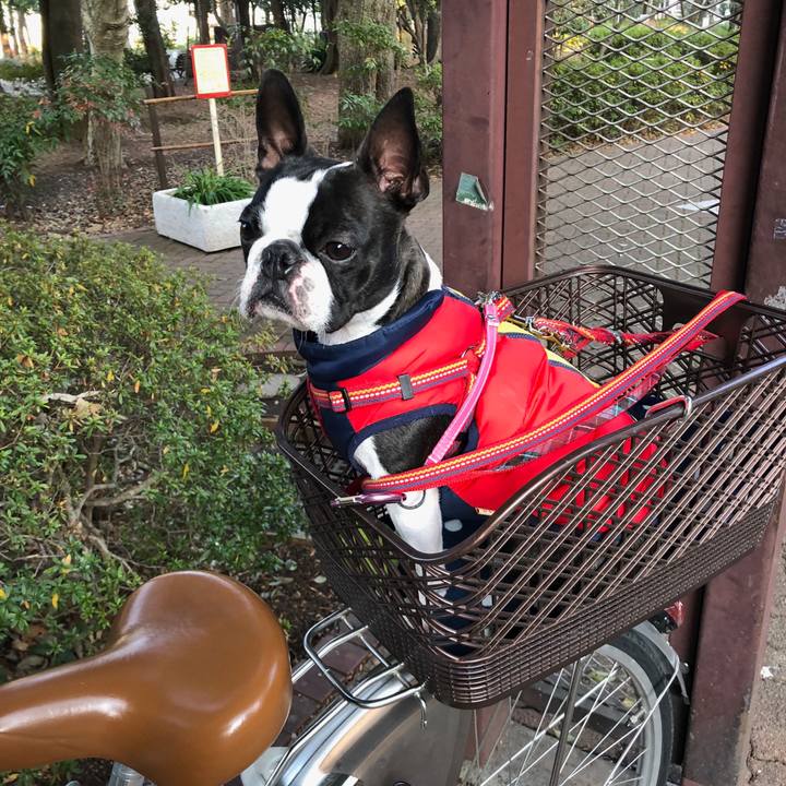 85ec4c41 a9d8 402c 9b76 16145cb718bc 1516438795413